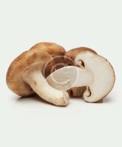 Brown Champignon