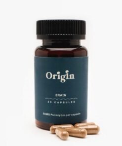 Brain Mushroom Capsules